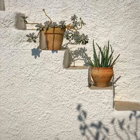 Andrew's - Luisanna * Torre Pali