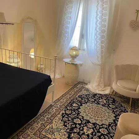 Willa Andrew's - Luisanna