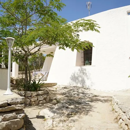 Andrew's - Luisanna Torre Pali