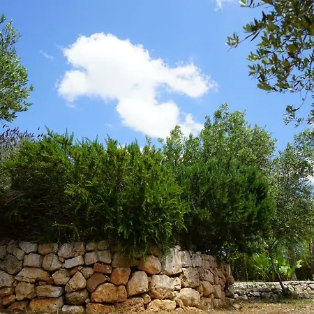 Andrew's - Luisanna Willa *