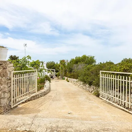 Andrew's - Luisanna * Torre Pali