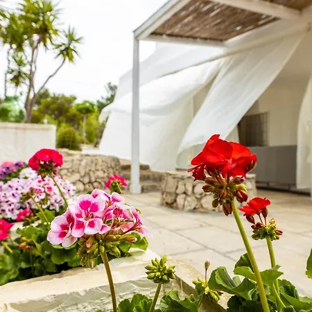Villa Andrew's - Luisanna Torre Pali