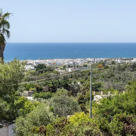 Andrew's - Luisanna * Torre Pali