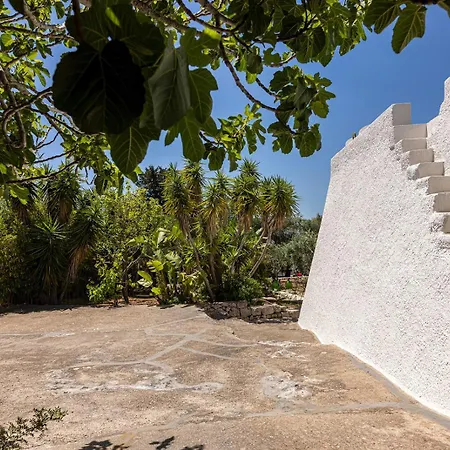 Andrew's - Luisanna Villa *